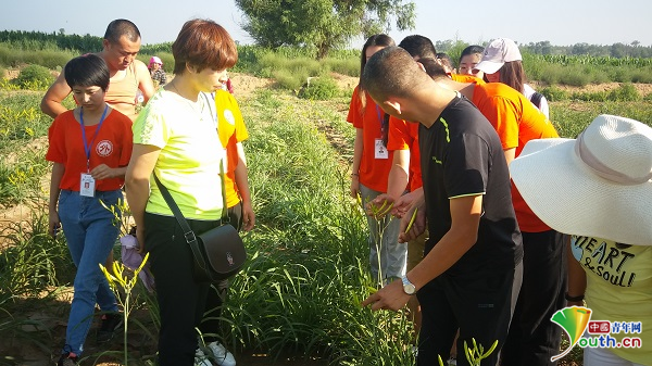 中国青年网报道：大同大学志愿者精准调研扶教 情系乡村留守儿童