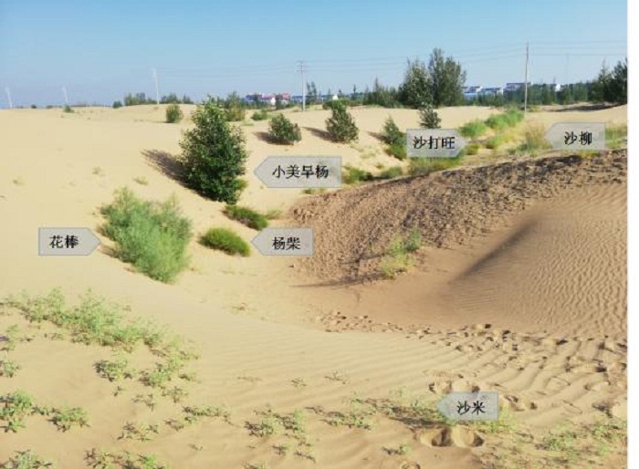 我校石墨烯增效复合肥科研团队赴内蒙考察并与亿利集团达成合作协议