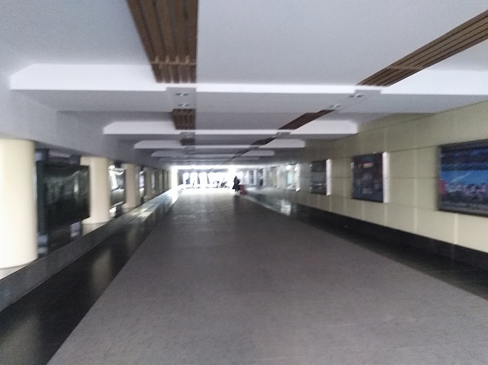 特别推出：“坚定文化自信凝聚发展力量”同大文化建设大型系列报道之十四： 艺术长廊中的“同大故事”（引子）